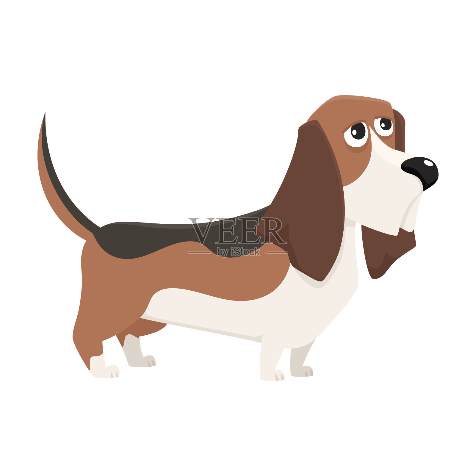 可爱的纯种巴吉度猎犬性格,卡通矢量插图设计元素图片