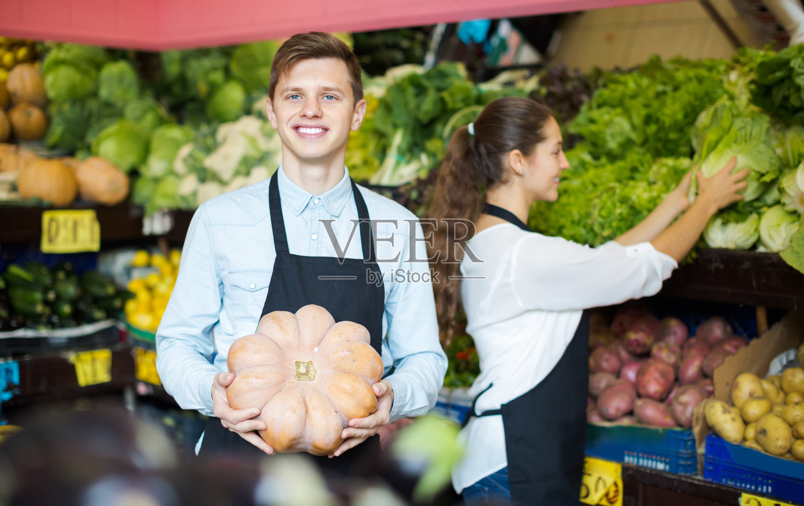 供应大南瓜的卖家照片摄影图片