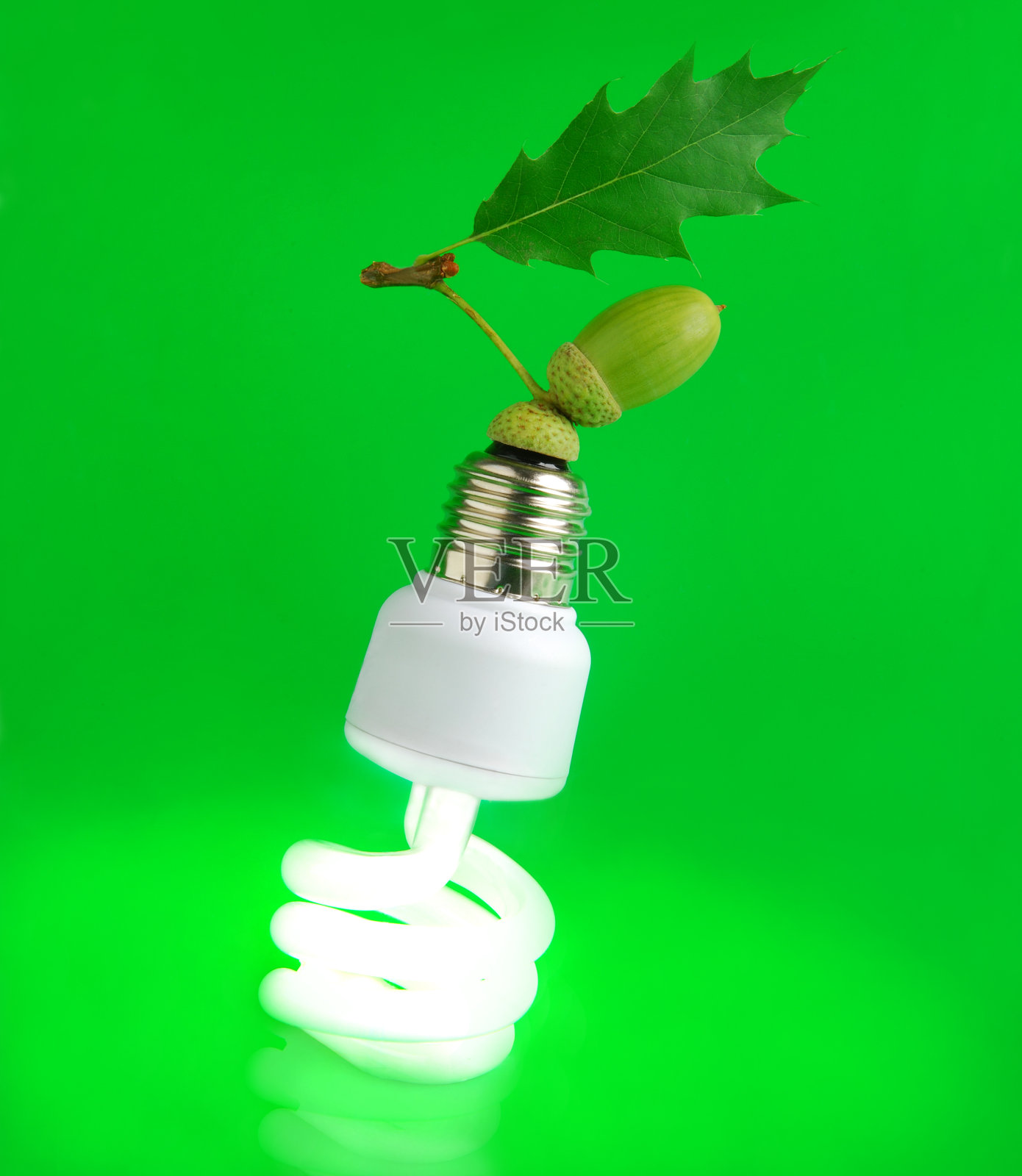 绿色能源灯泡照片摄影图片