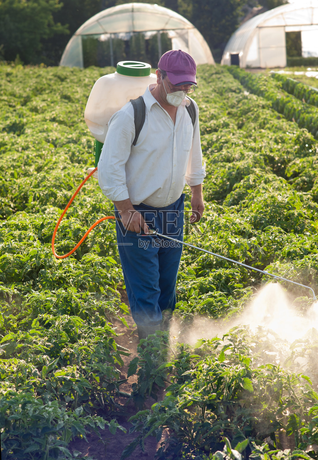 灭鼠药照片摄影图片
