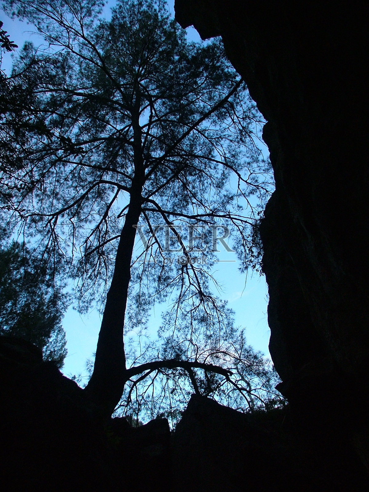 大自然的轮廓照片摄影图片