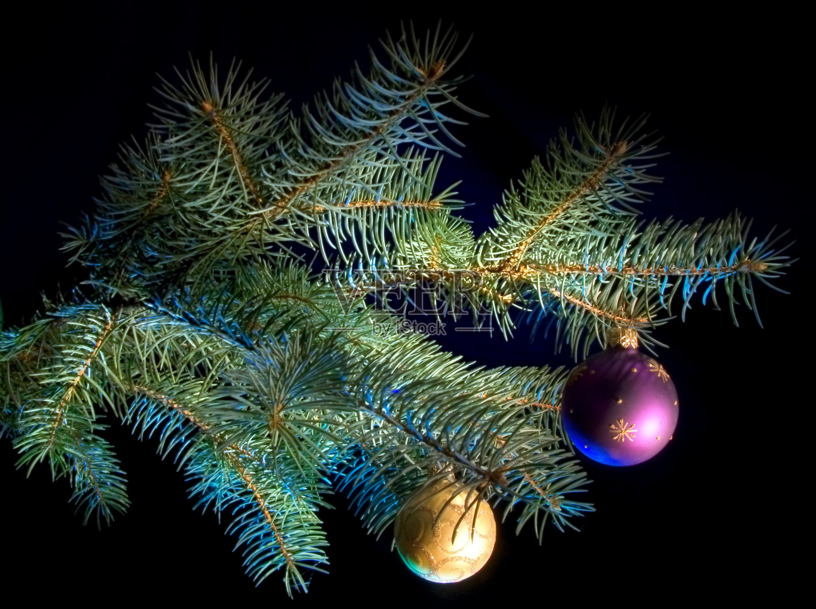 分公司二照片摄影图片