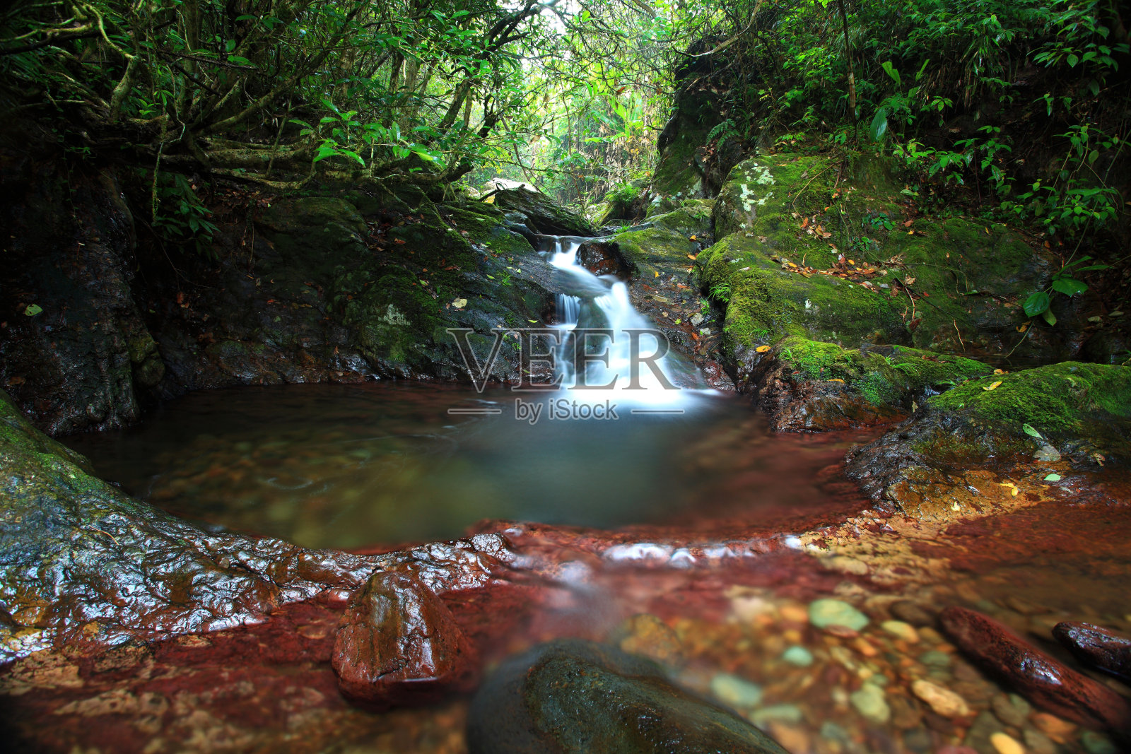 森林中的河流照片摄影图片