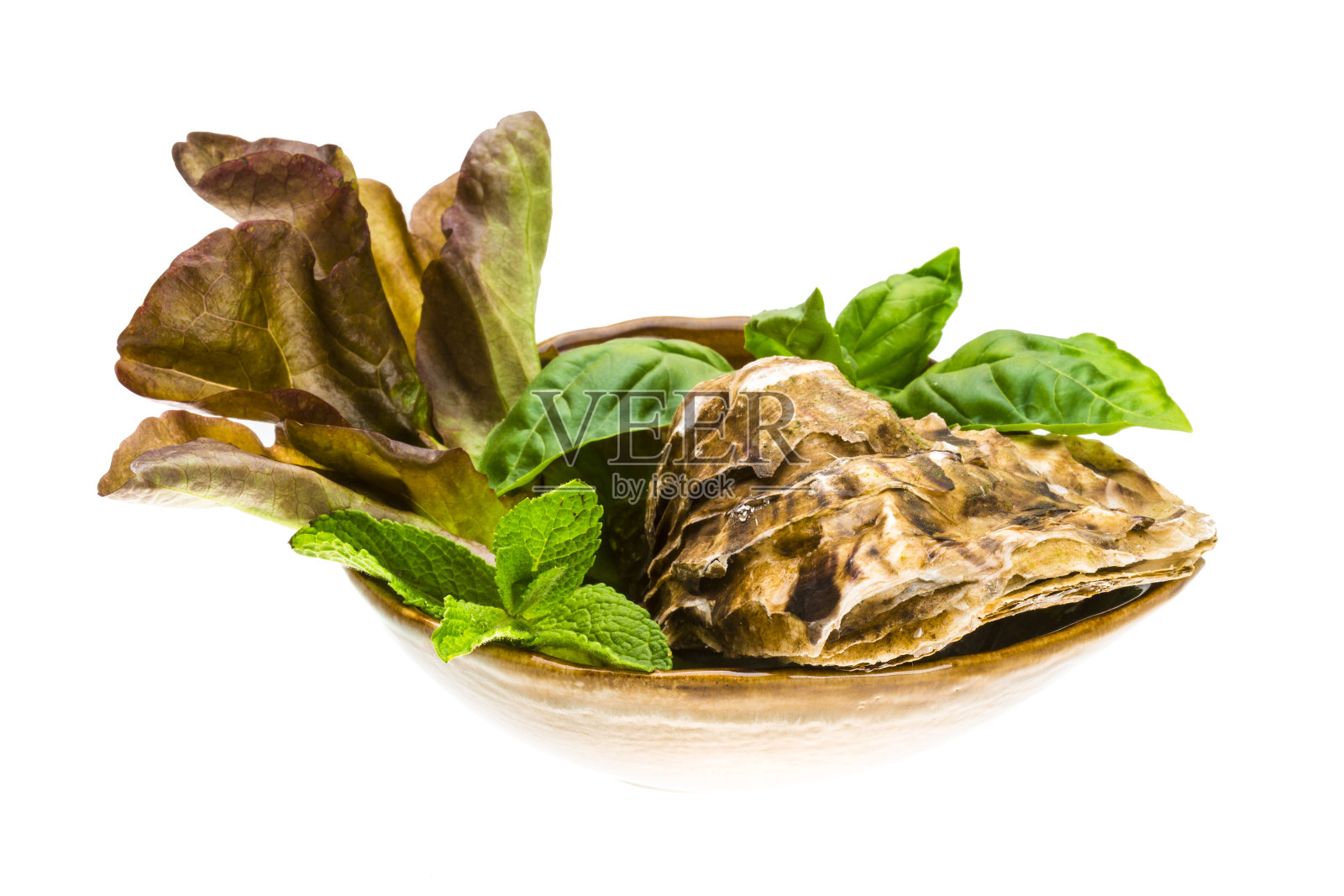 新鲜生蚝照片摄影图片