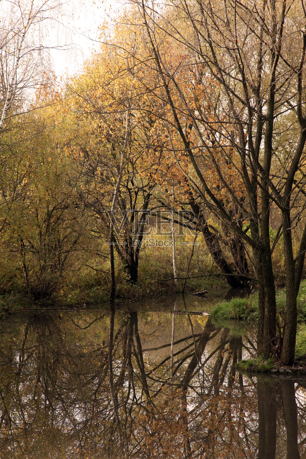 反映了秋天。照片摄影图片