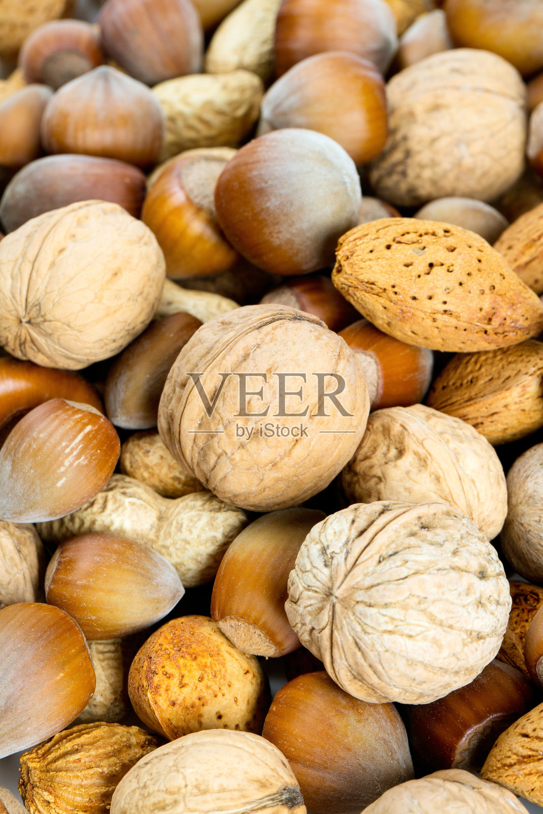 收集去壳的坚果照片摄影图片