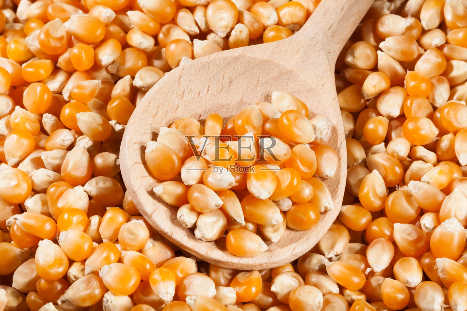 干燥的玉米粒照片摄影图片