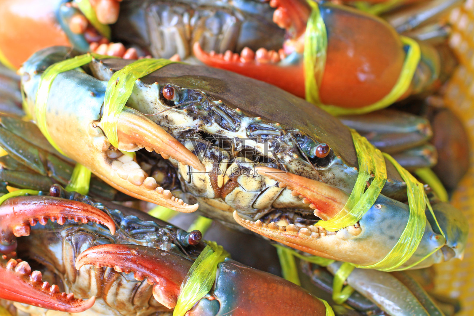 煮活螃蟹。照片摄影图片