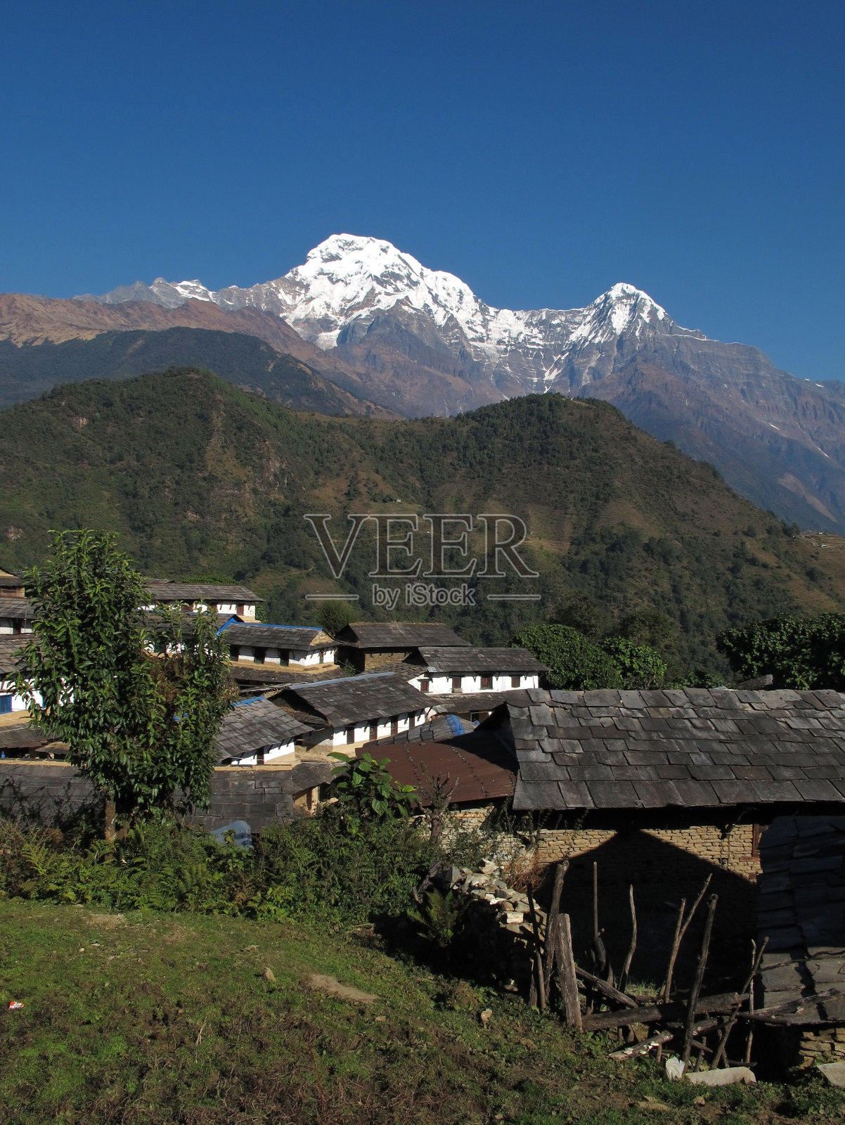田园诗般的村庄Ghandruk和白雪覆盖的Annapurna South照片摄影图片