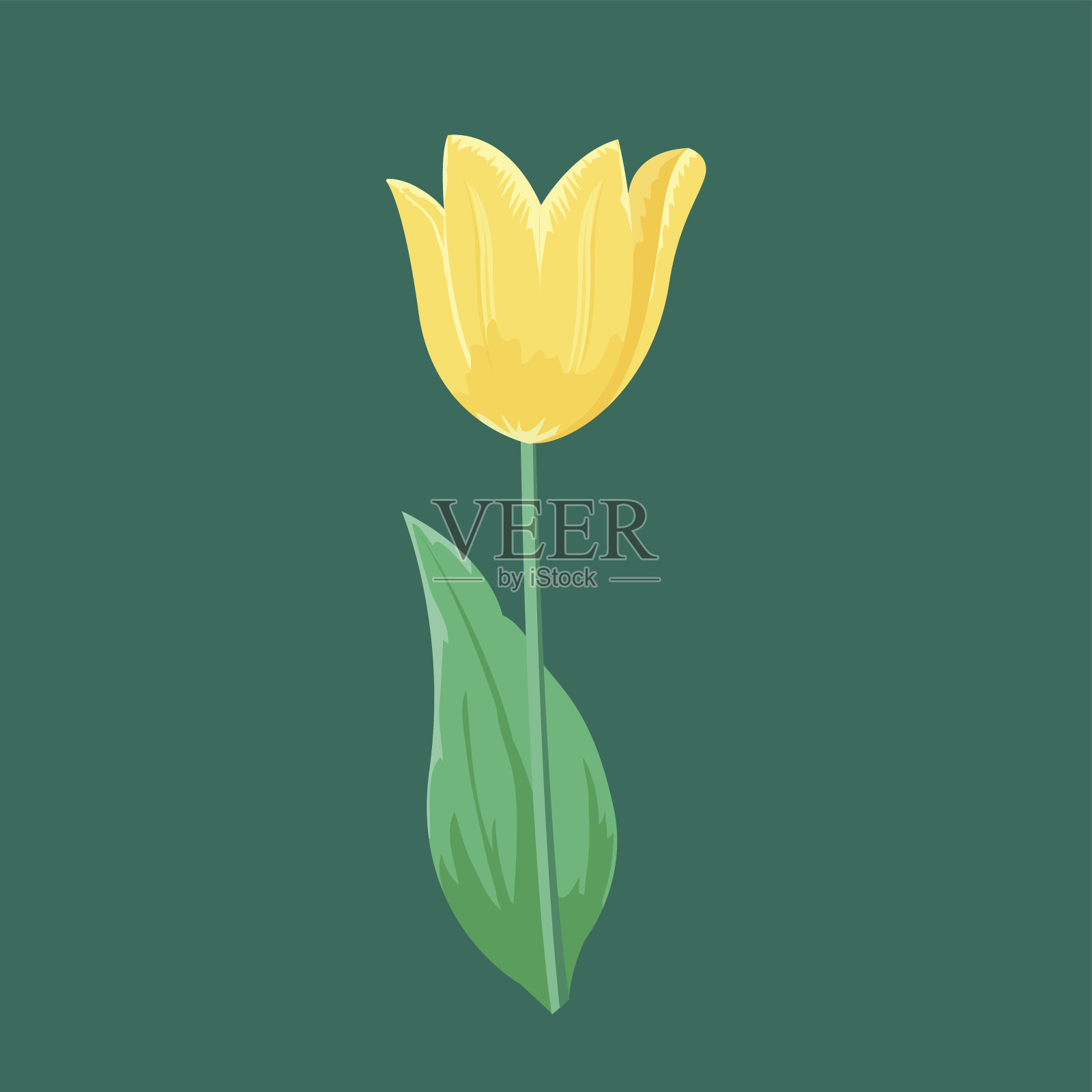 复古的黄色郁金香花可以作为贺卡的邀请卡,婚礼生日和其他假期夏季天然植物矢量插图设计元素图片