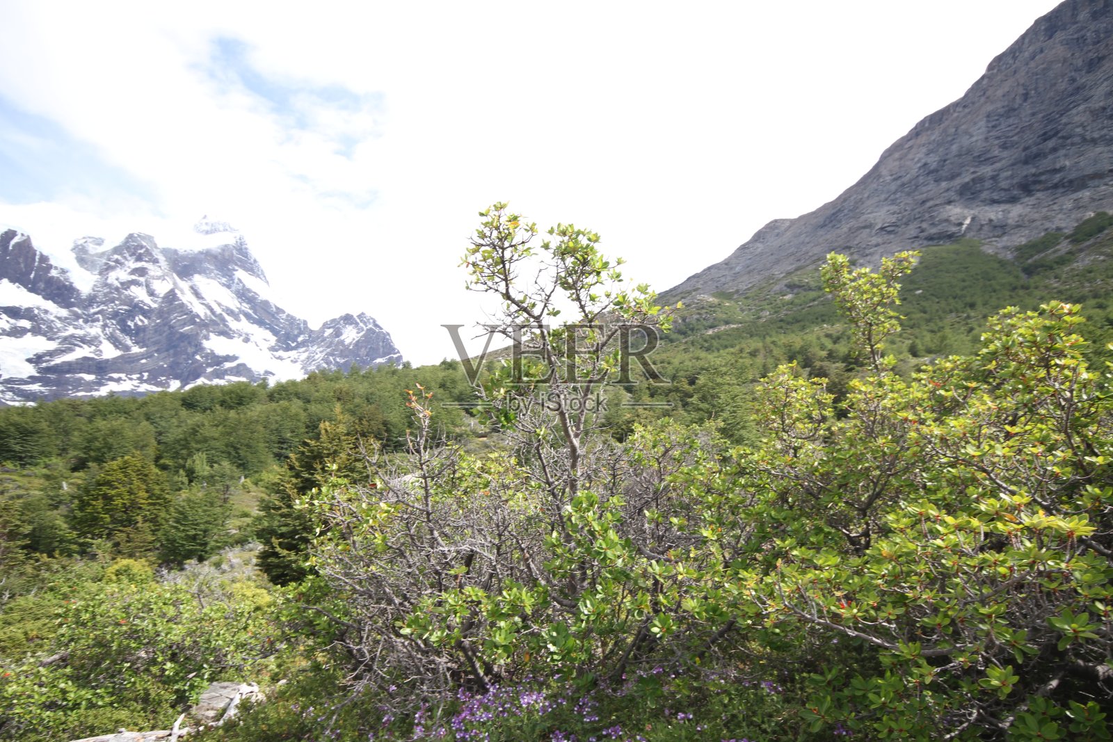 在托雷斯·德尔·潘恩公园的W崔克照片摄影图片