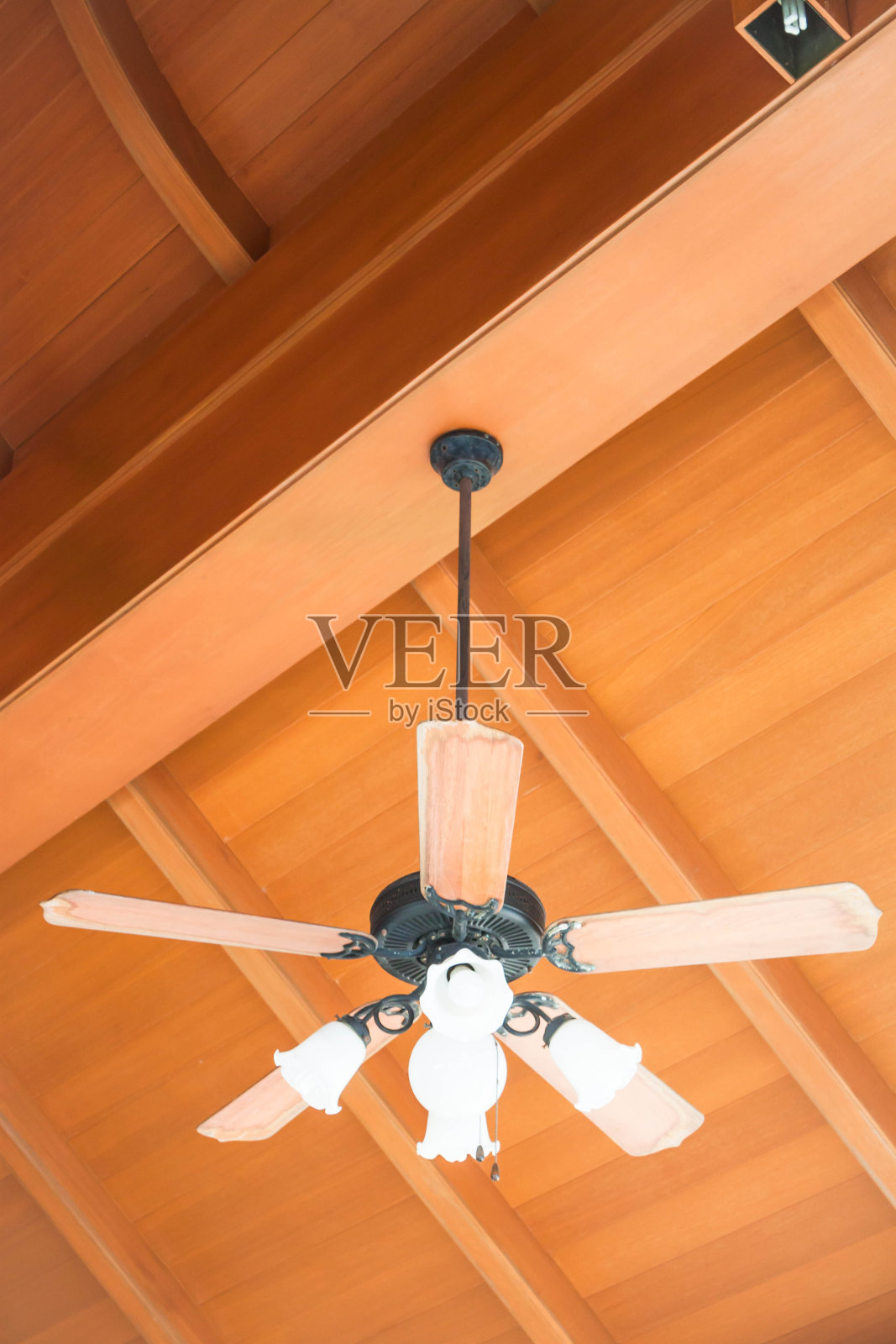 漂亮的吊扇和玻璃灯照片摄影图片