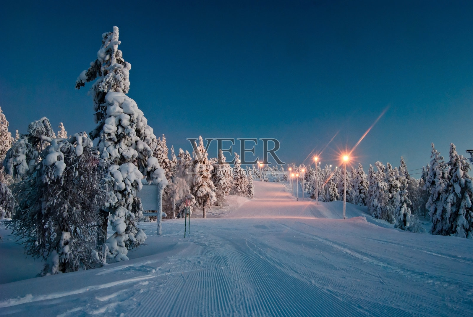 照亮了树林里的路照片摄影图片