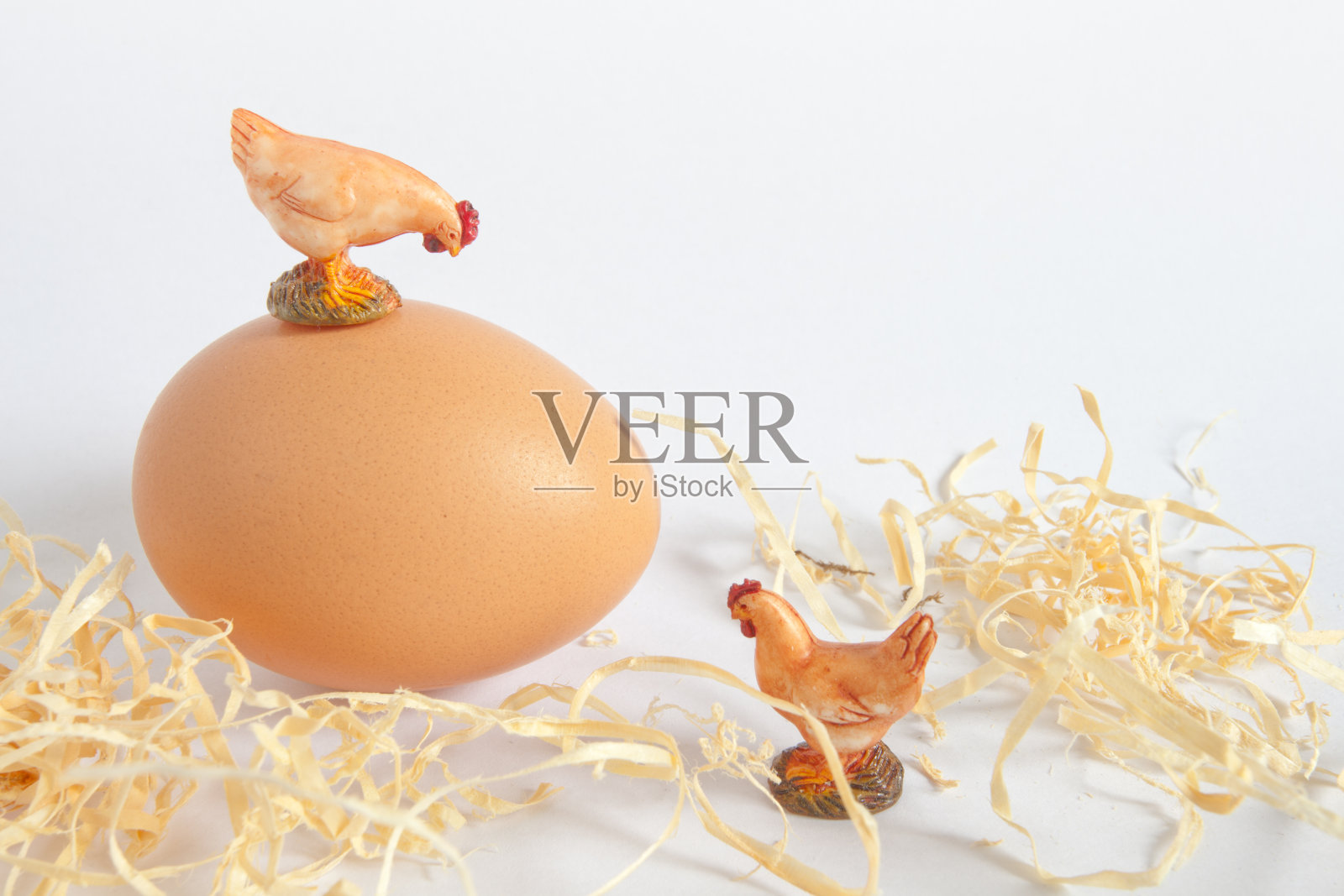 两只母鸡和一个蛋照片摄影图片