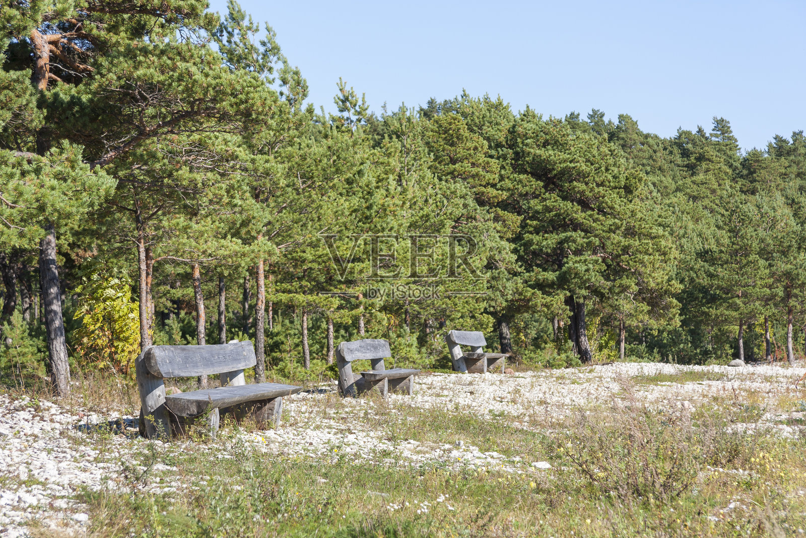 木材座位在田野上照片摄影图片