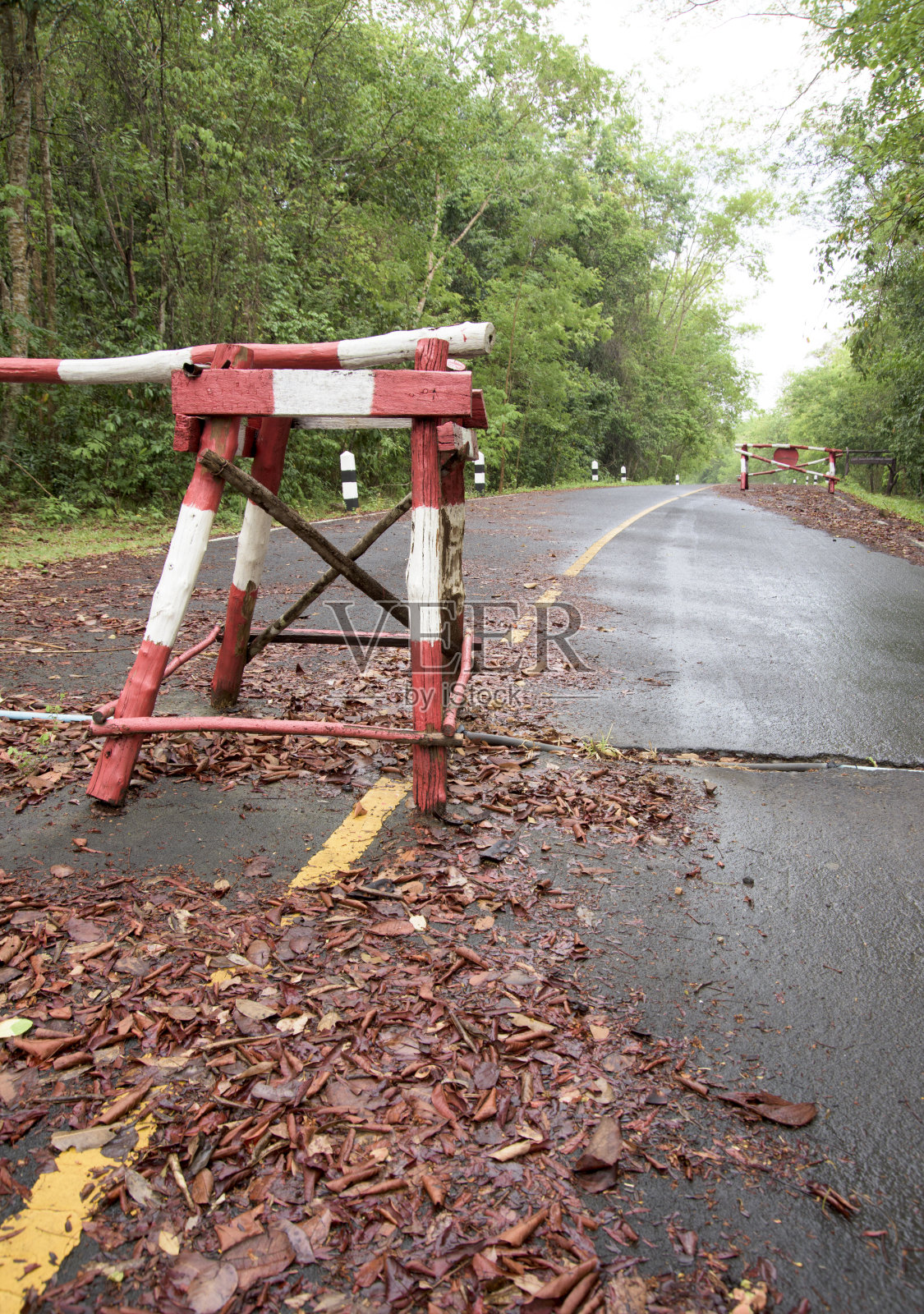 路障检查站丛林路照片摄影图片