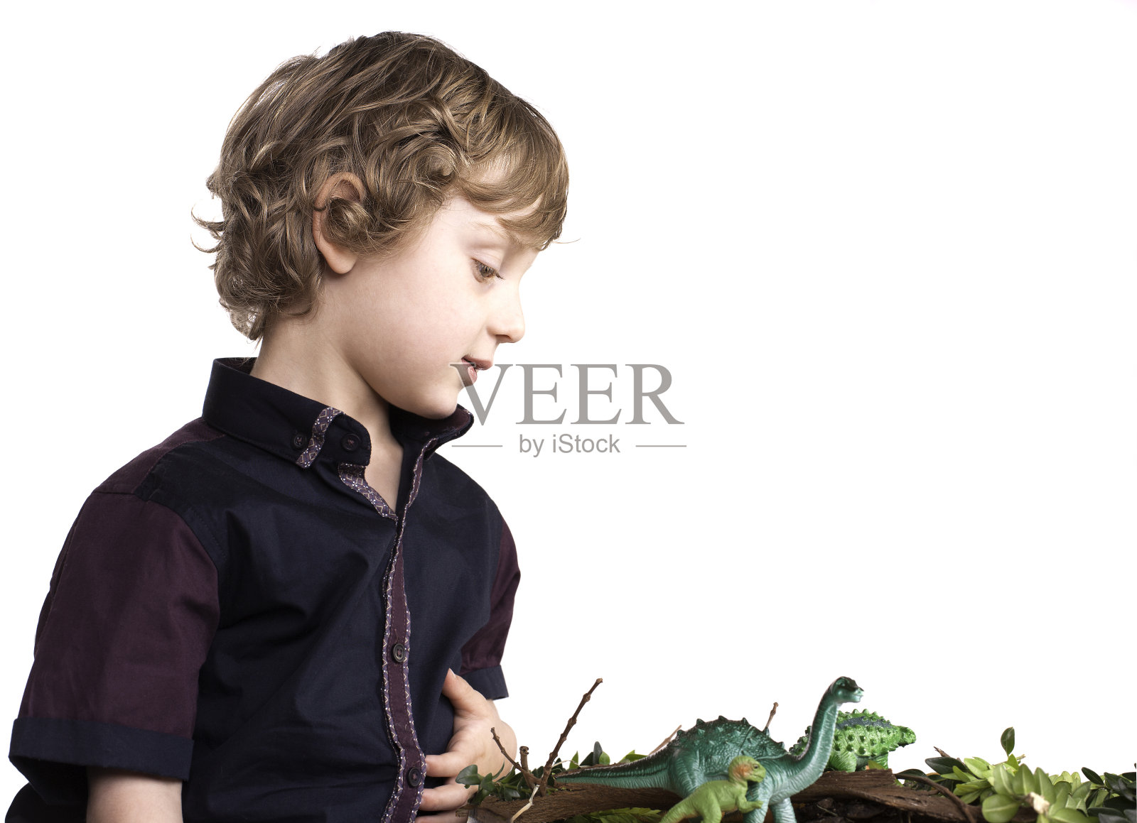 恐龙玩照片摄影图片