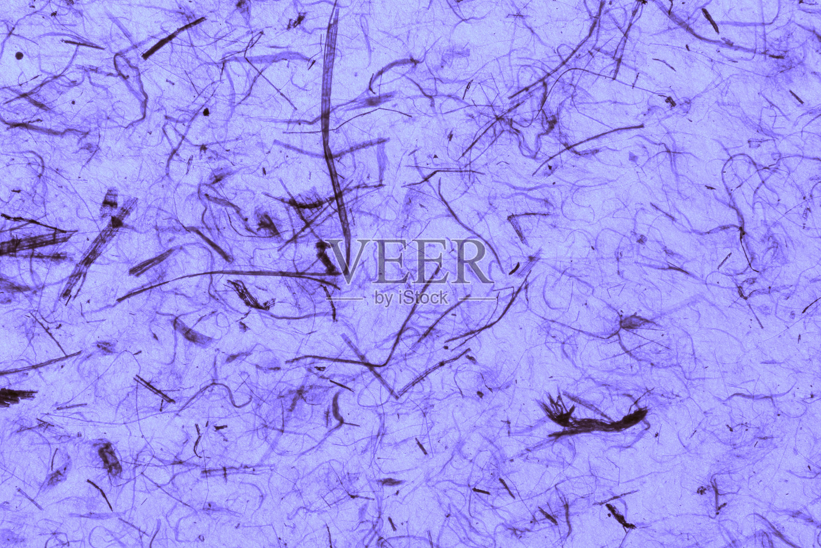 天然纹理紫色纸照片摄影图片