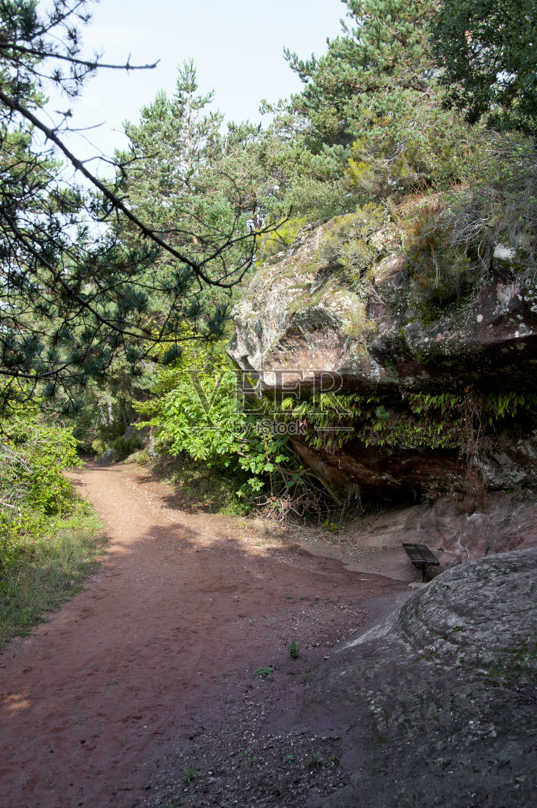 风景的马照片摄影图片
