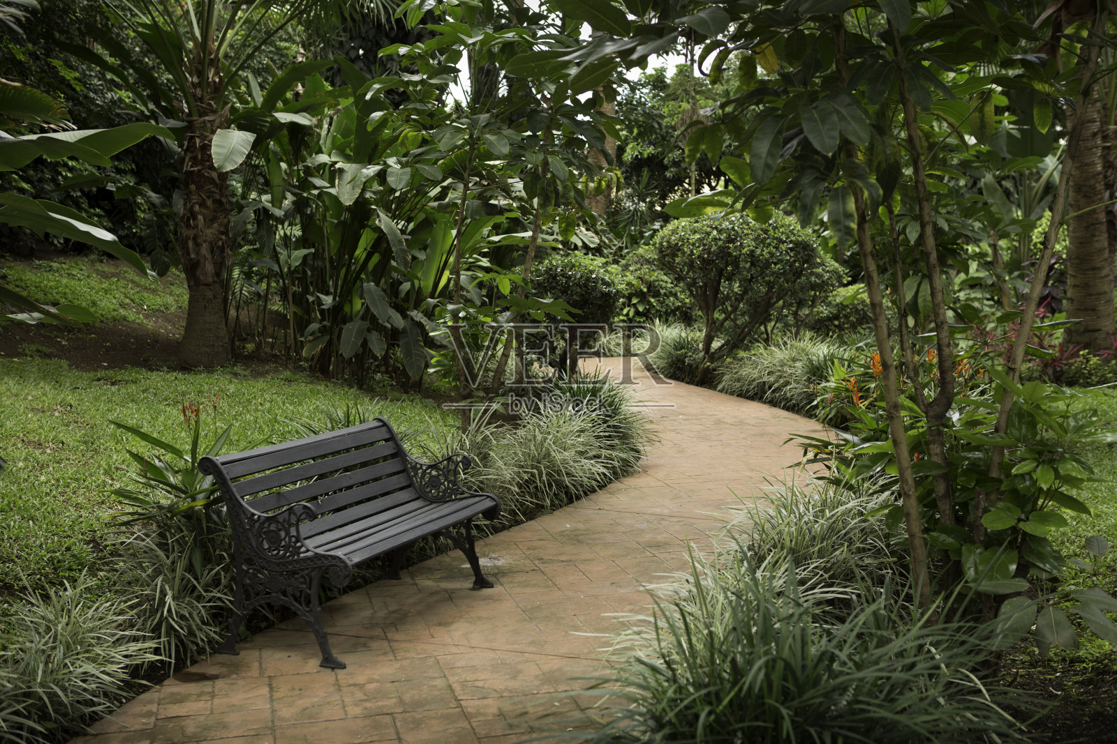 花园小径照片摄影图片