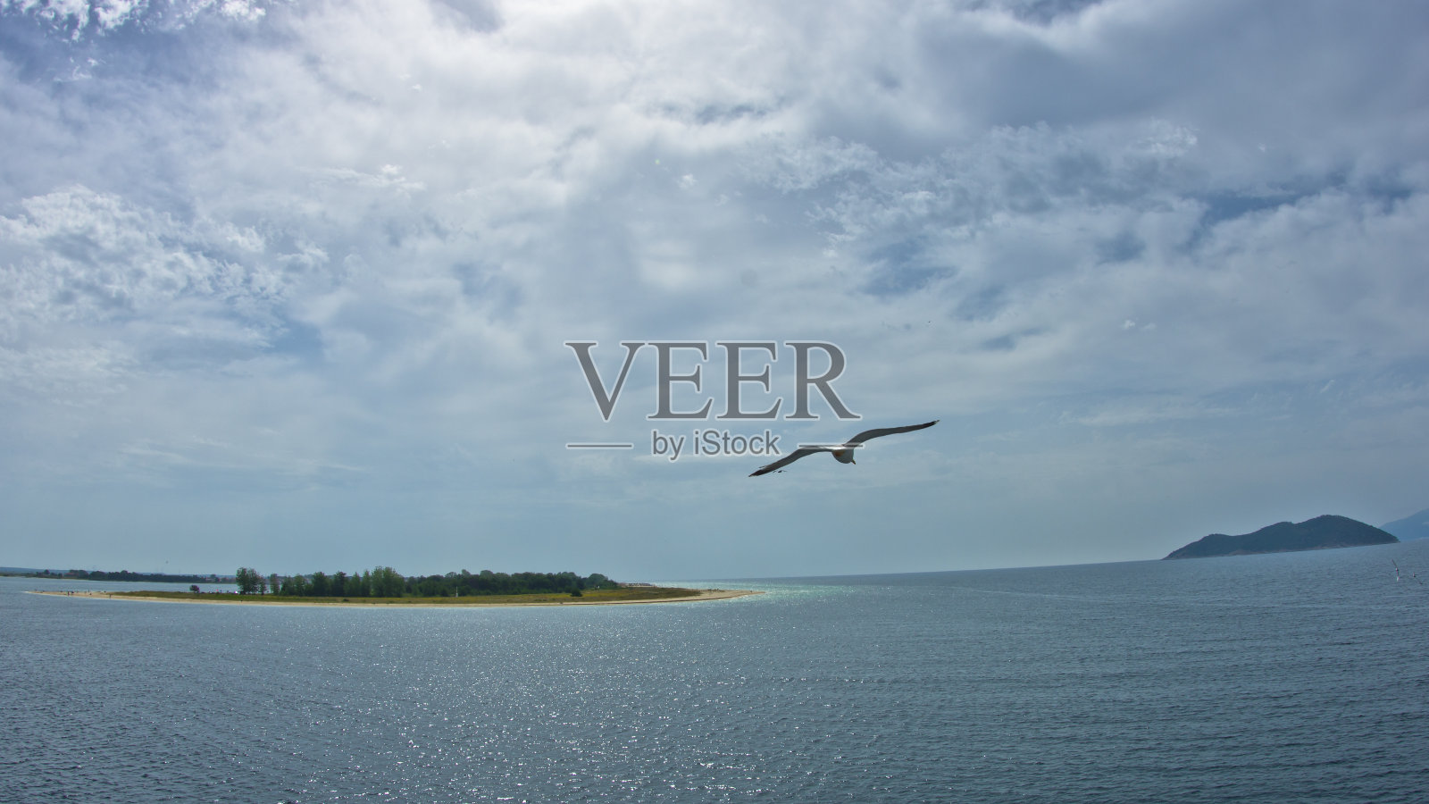 在萨索斯岛附近海面上低空飞行的海鸥照片摄影图片