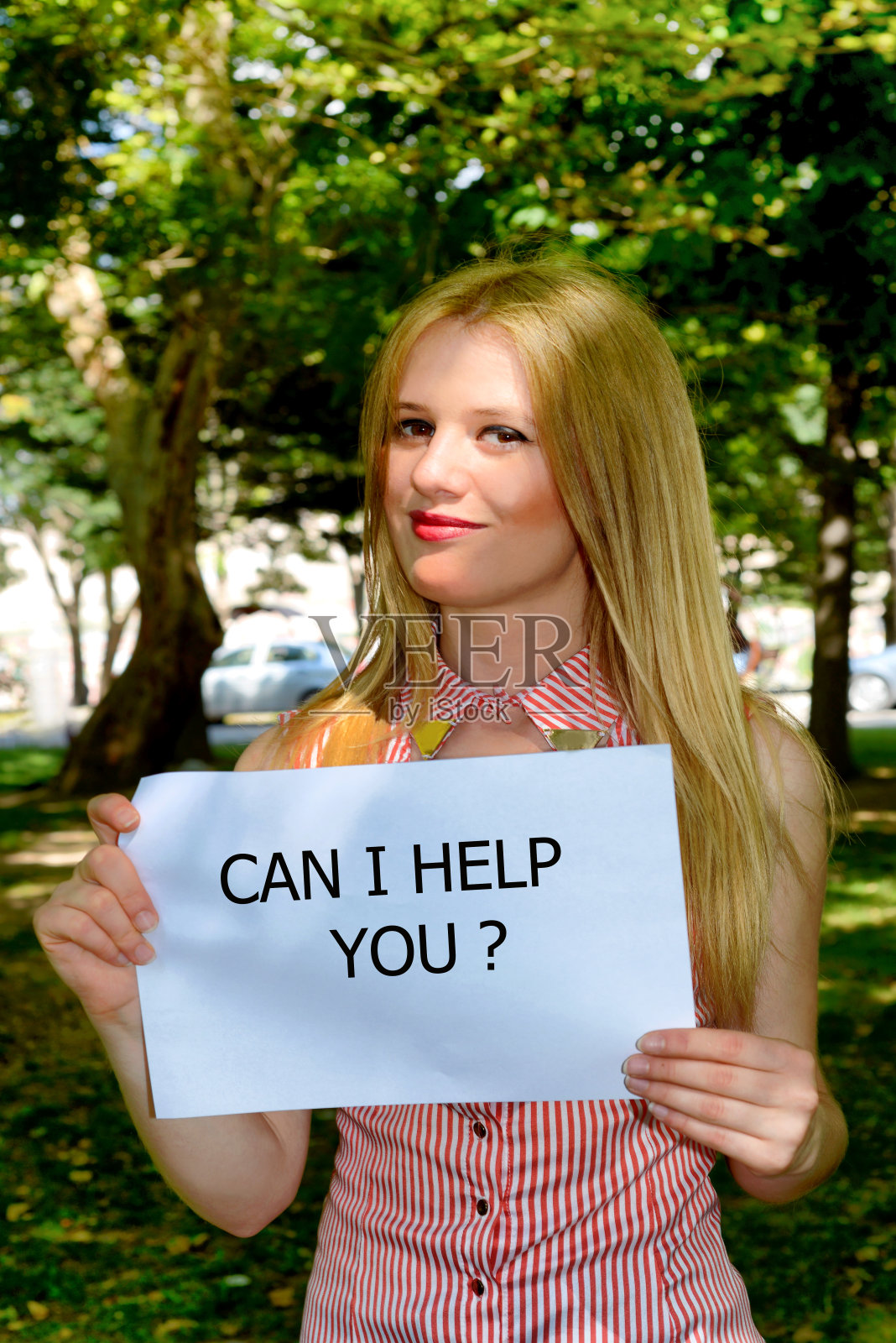 森林照片摄影图片