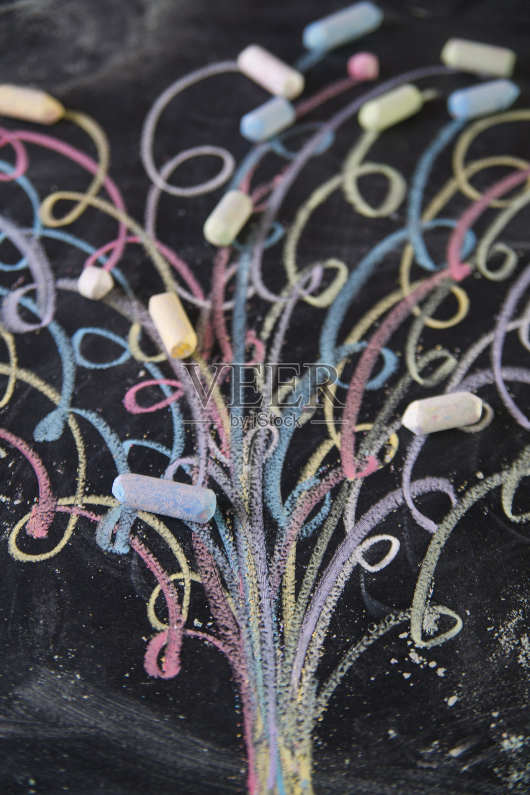 生命之树照片摄影图片