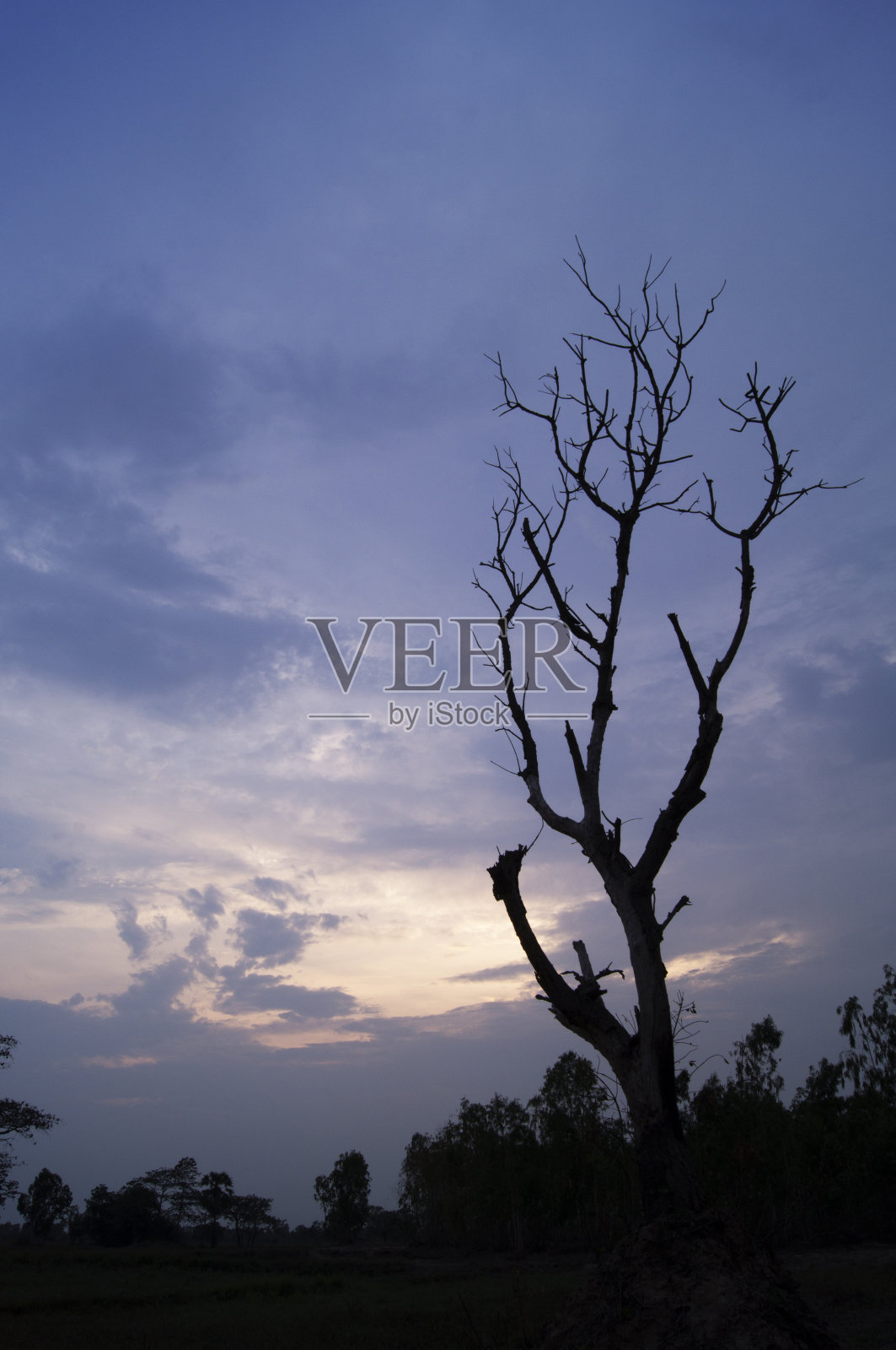 日落和景观照片摄影图片