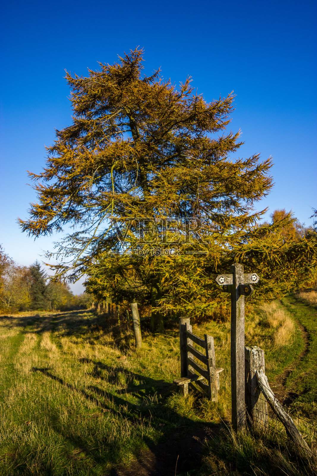 十字路口的斯蒂尔。照片摄影图片