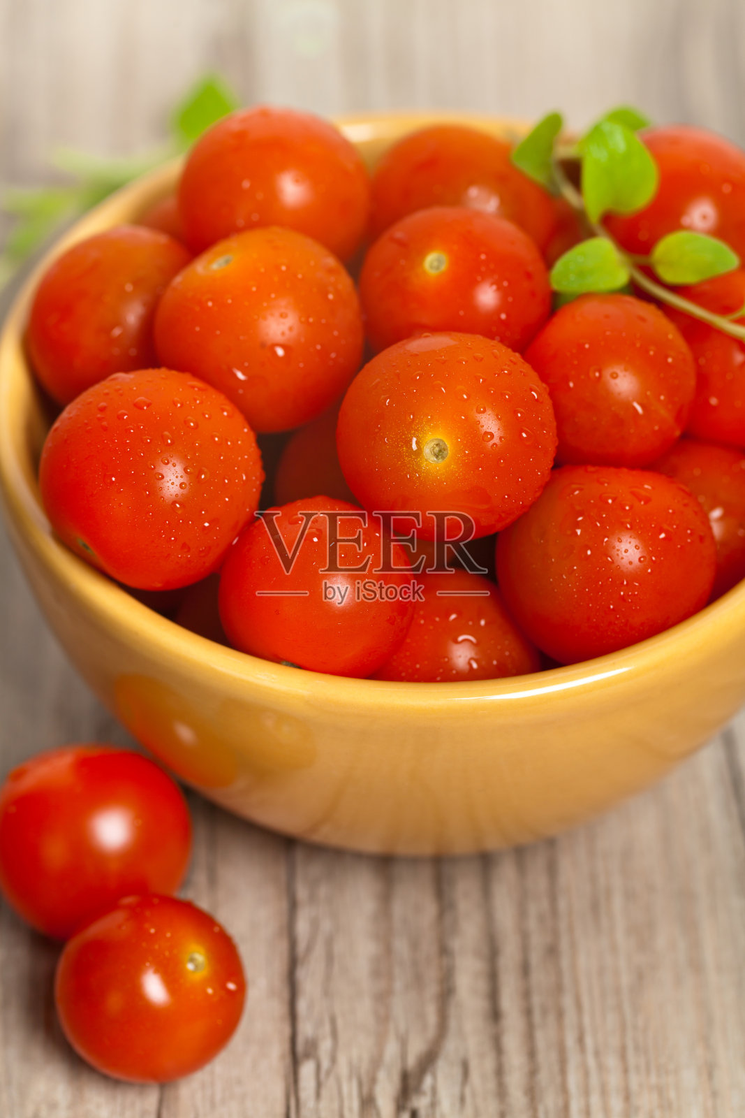 新鲜樱桃番茄照片摄影图片