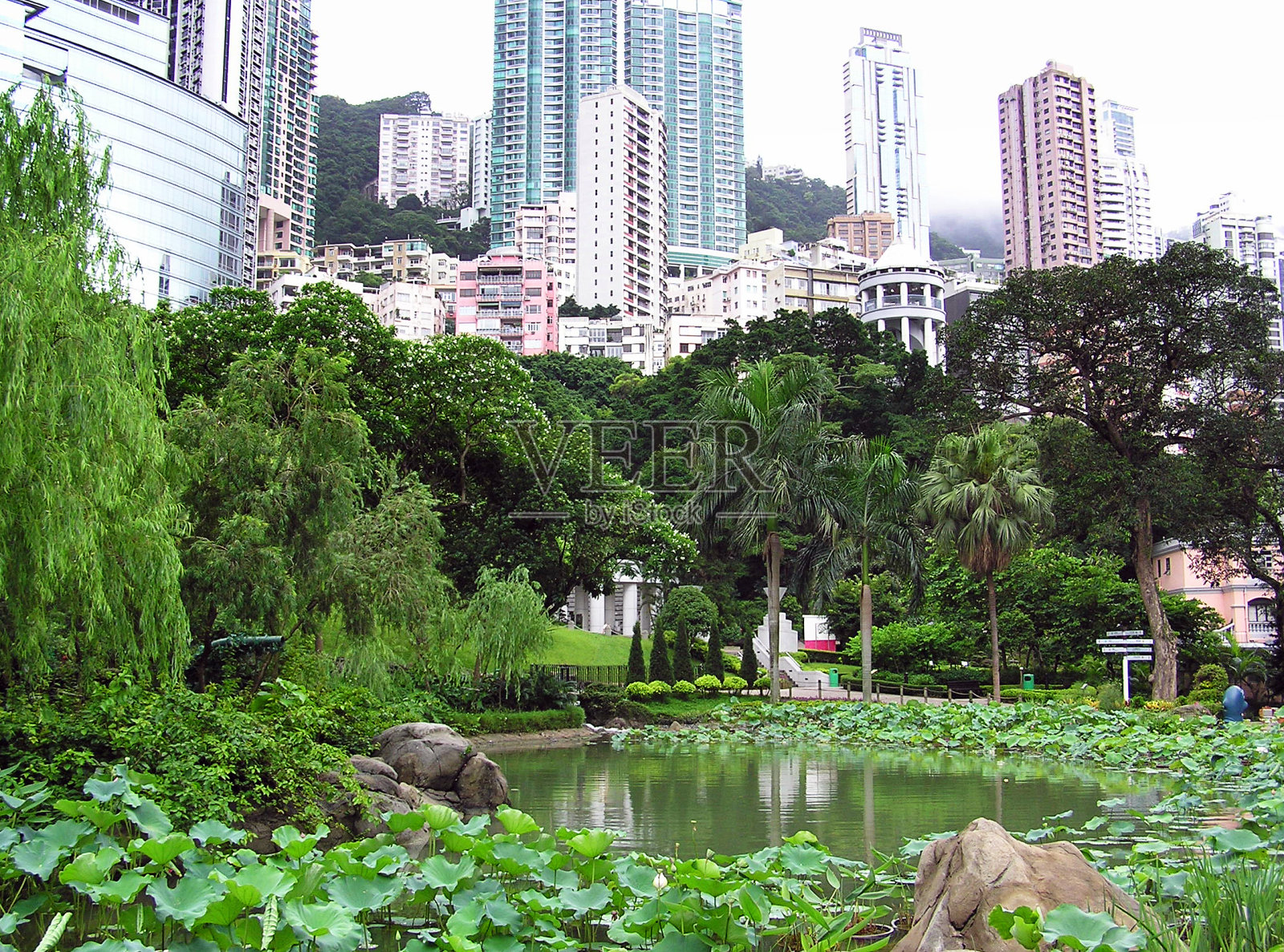 香港公园照片摄影图片