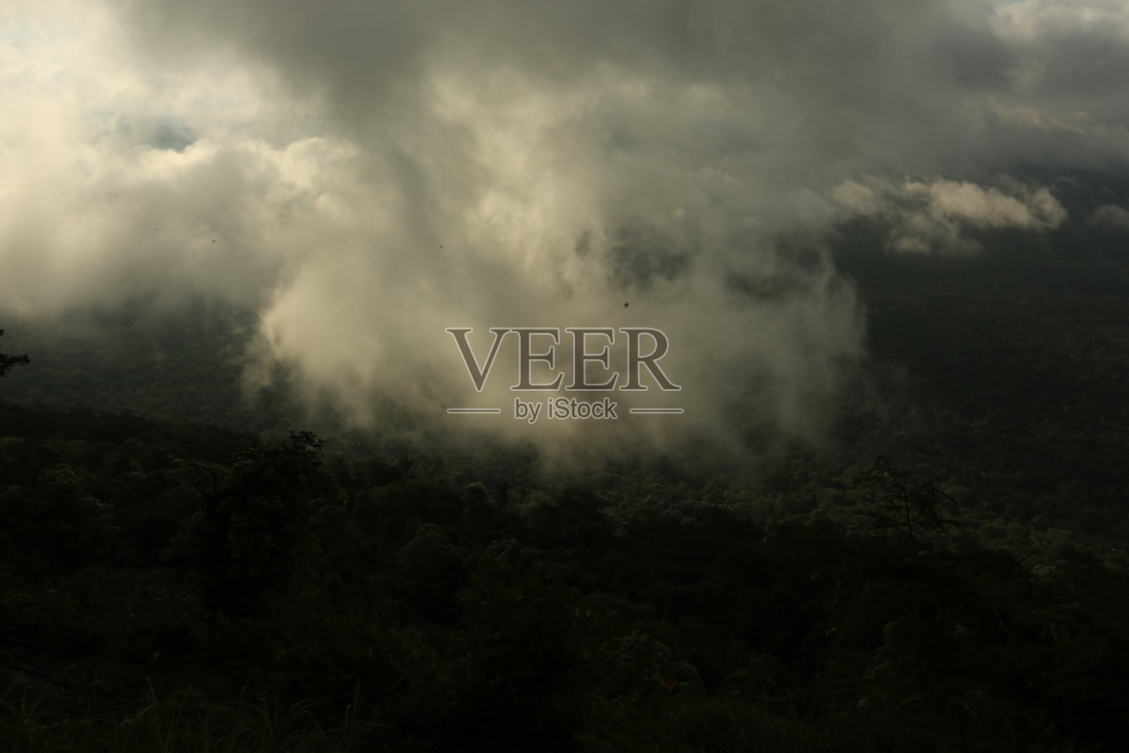 雾在泰国照片摄影图片