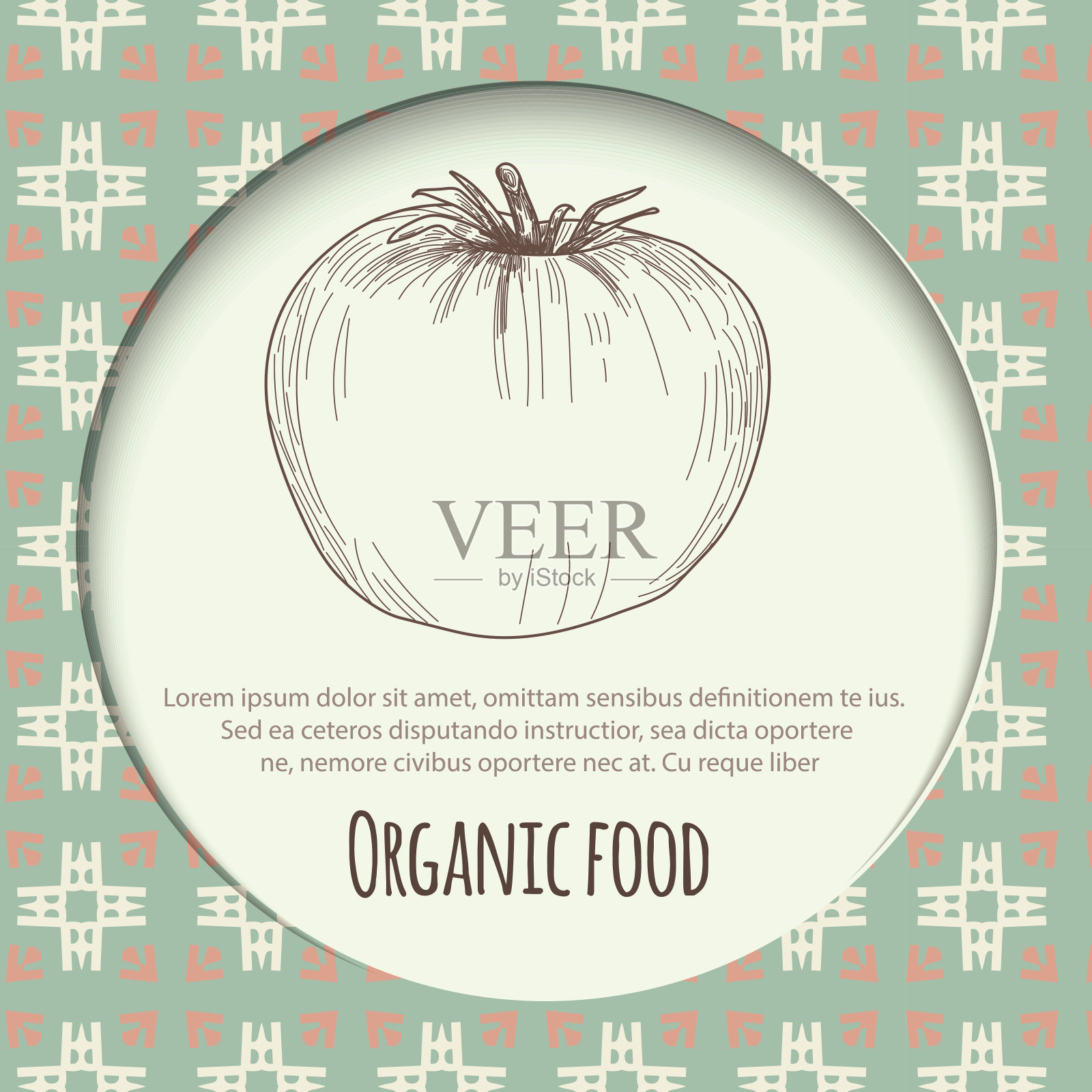 手绘西红柿在白色的背景插画图片素材