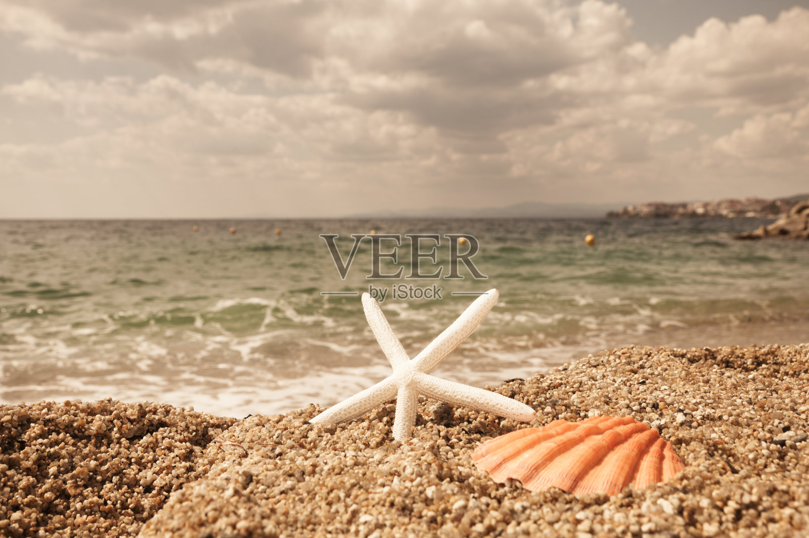 海星和贝壳在海岸。夏天的假期。照片摄影图片