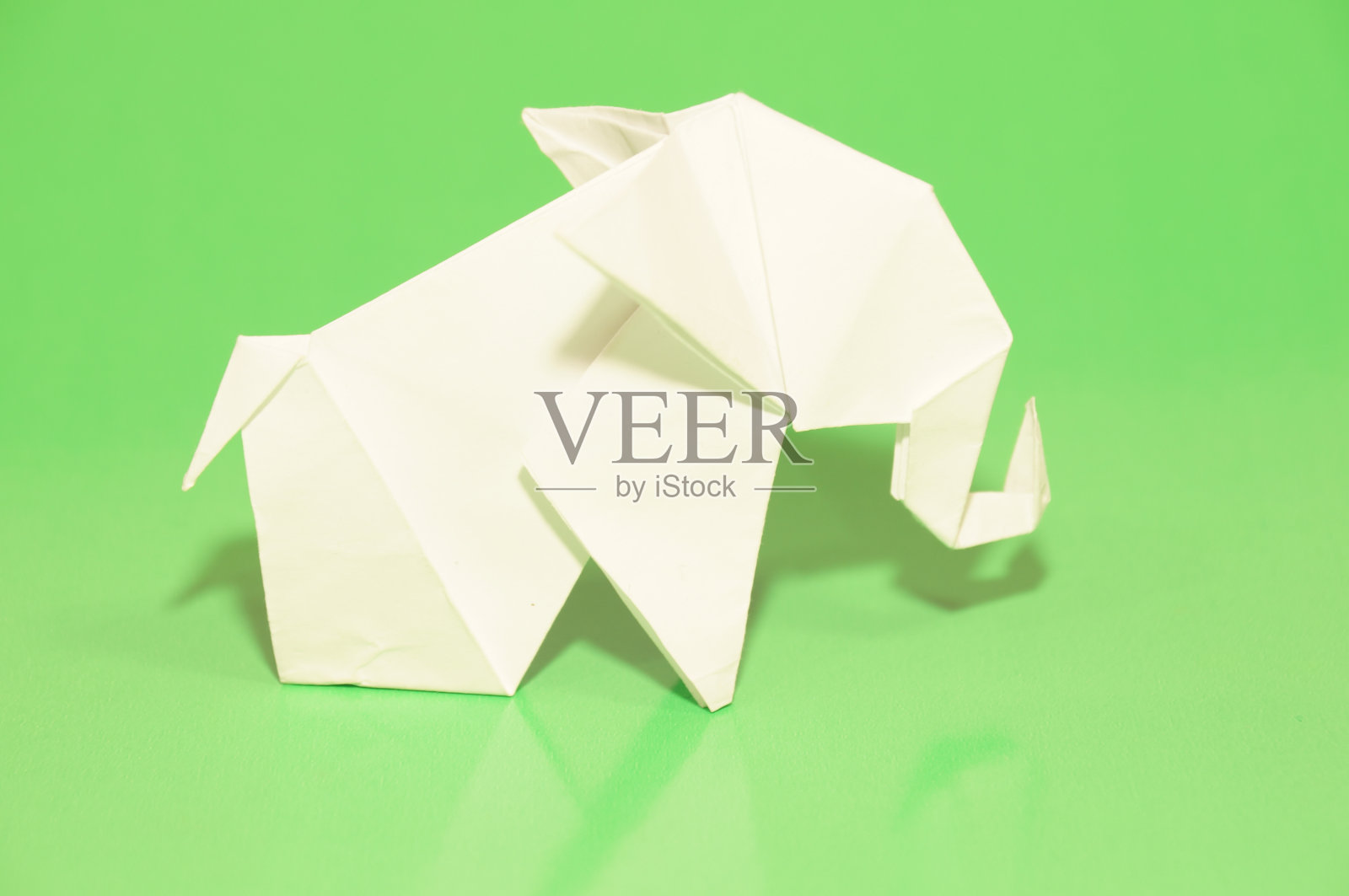 大象照片摄影图片