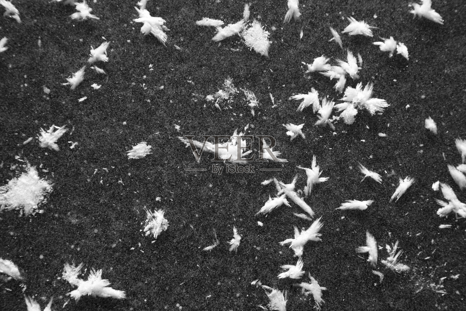 雪花落在黑色的冰上照片摄影图片