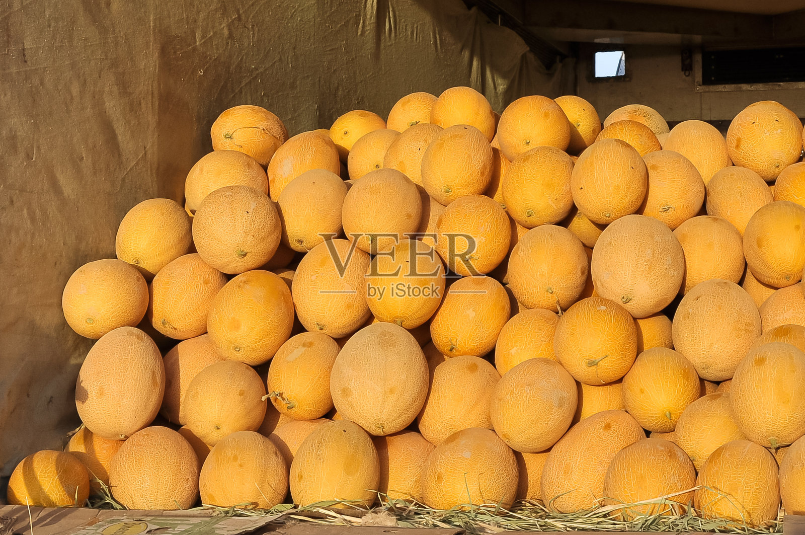 黄色的圆形乌孜别克瓜在卡车里照片摄影图片