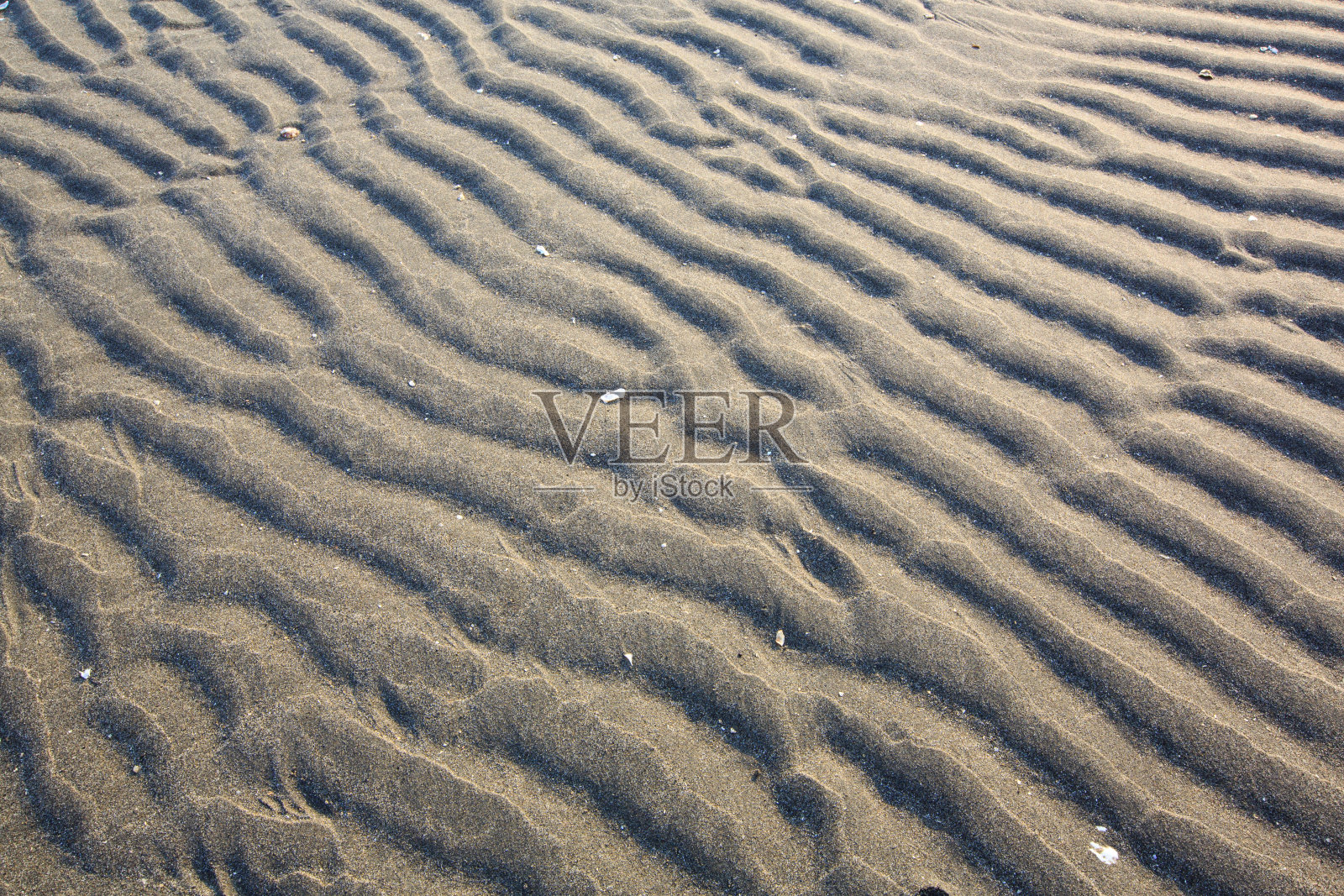 沙波纹照片摄影图片