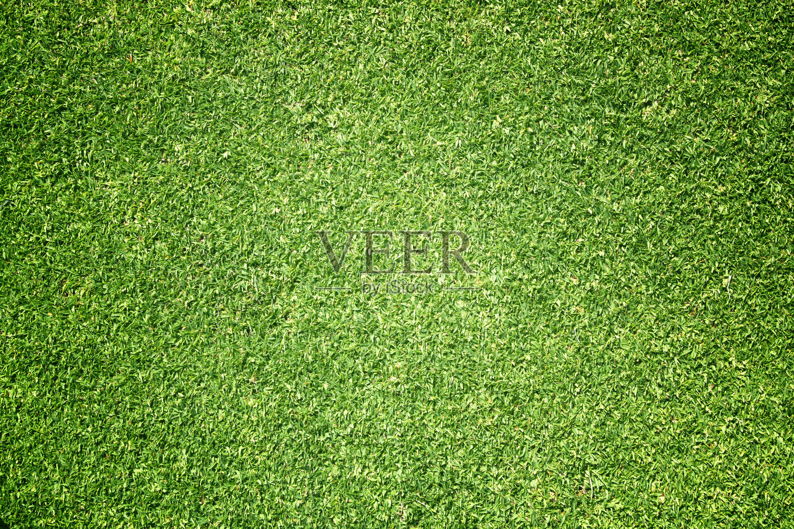 高尔夫球场草坪照片摄影图片