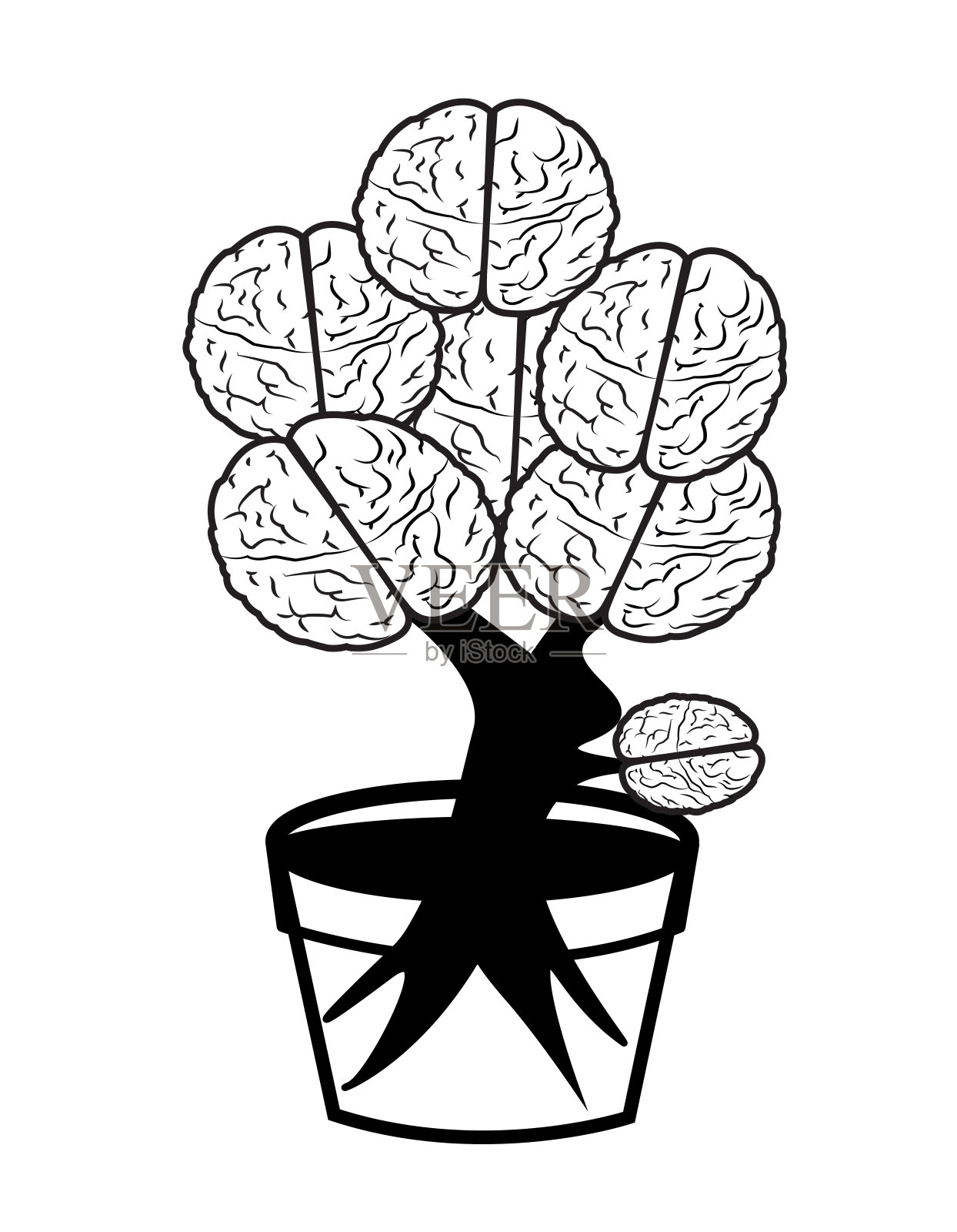 大脑在锅照片摄影图片