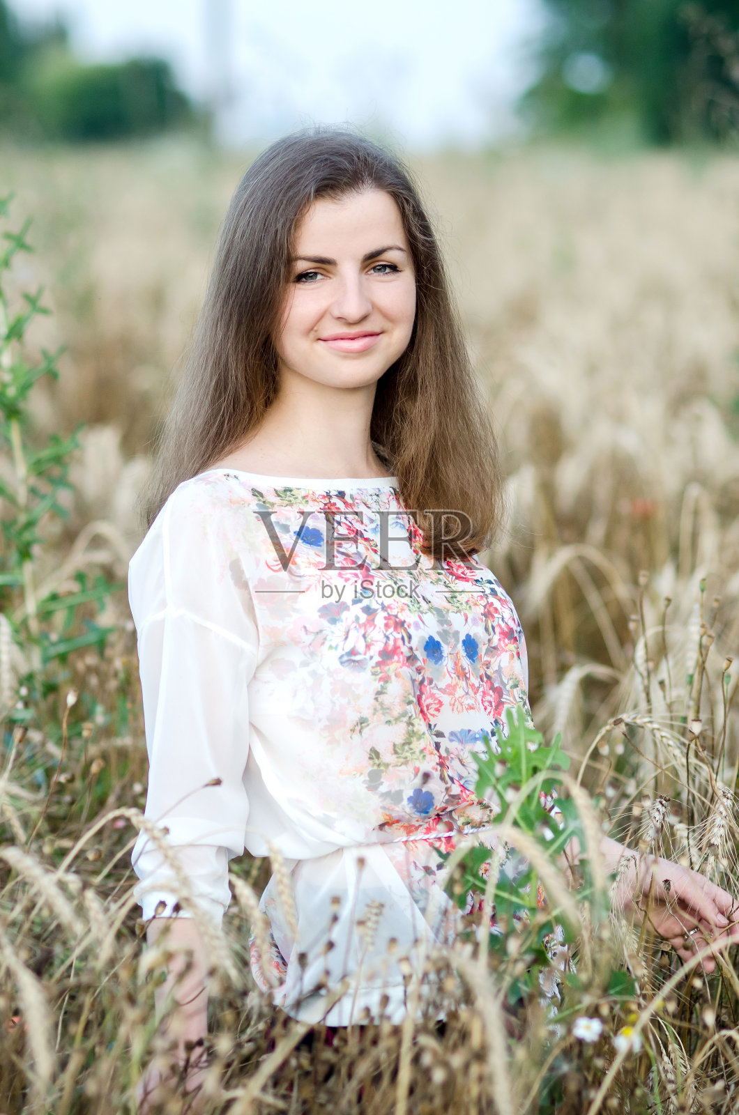麦田里美丽的乌克兰女孩的肖像照片摄影图片