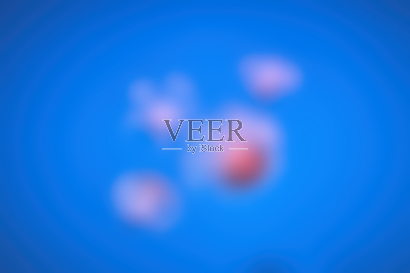 图片模糊背景抽象水下照片一组水母照片摄影图片