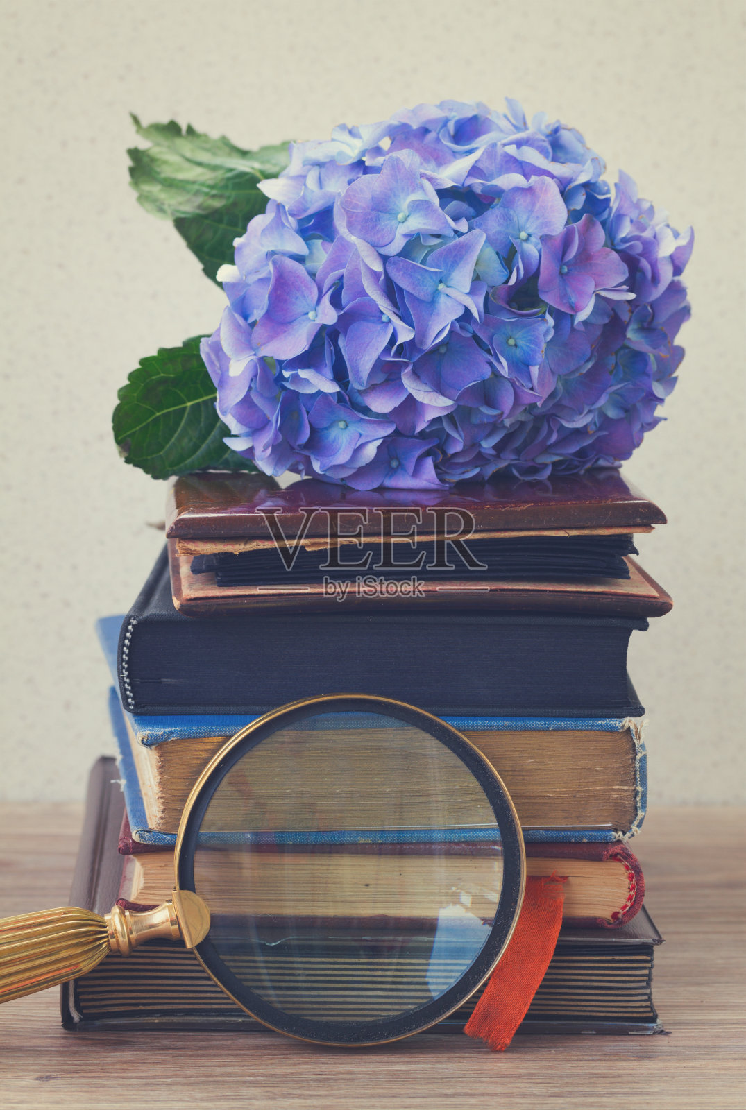 一堆带花的旧书照片摄影图片