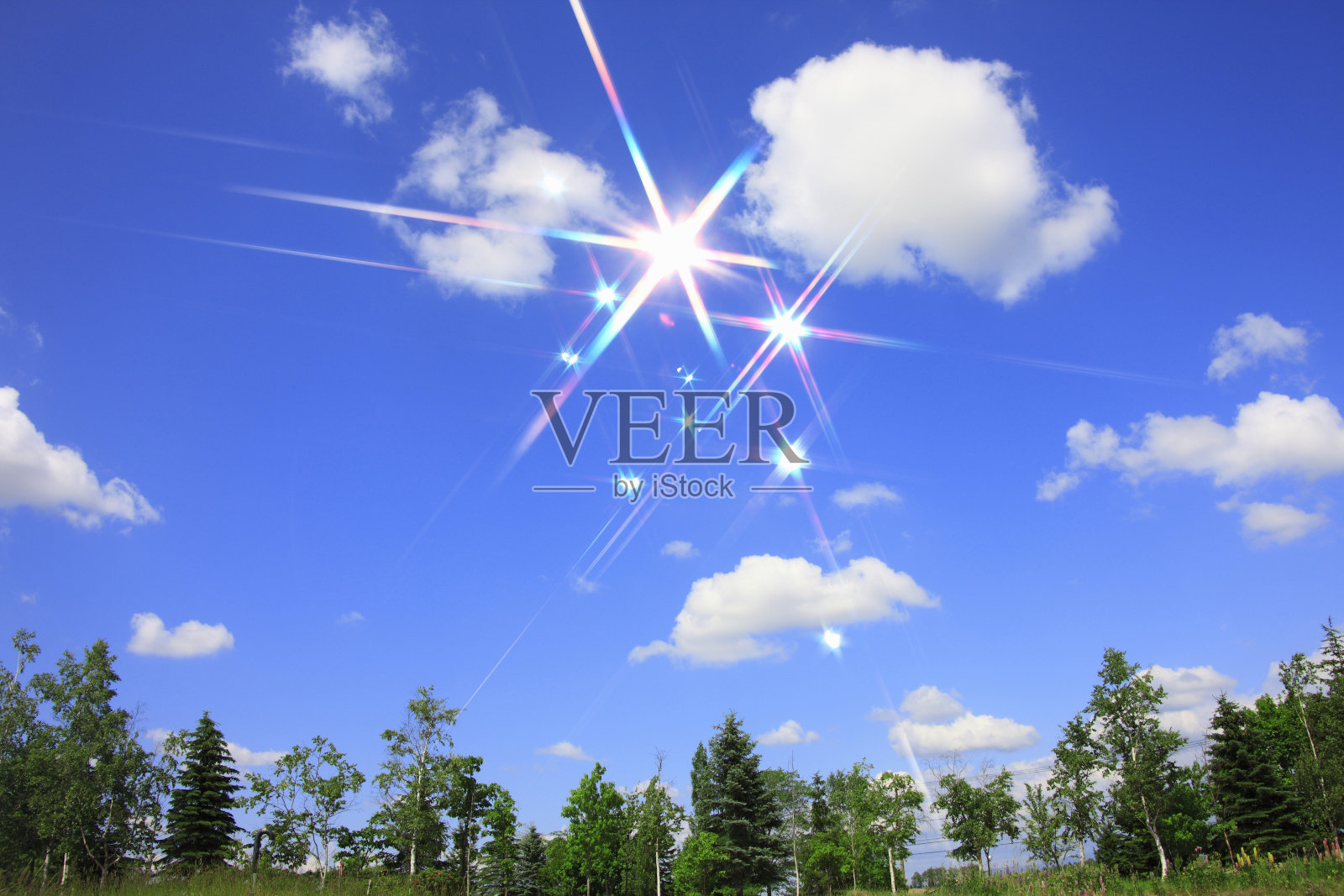 蓝天树木照片摄影图片