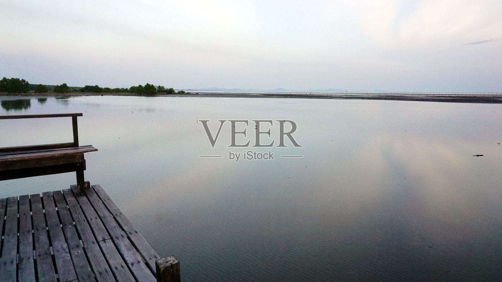 红树林照片摄影图片