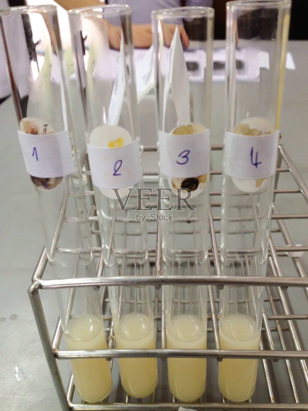 试管中的物质照片摄影图片