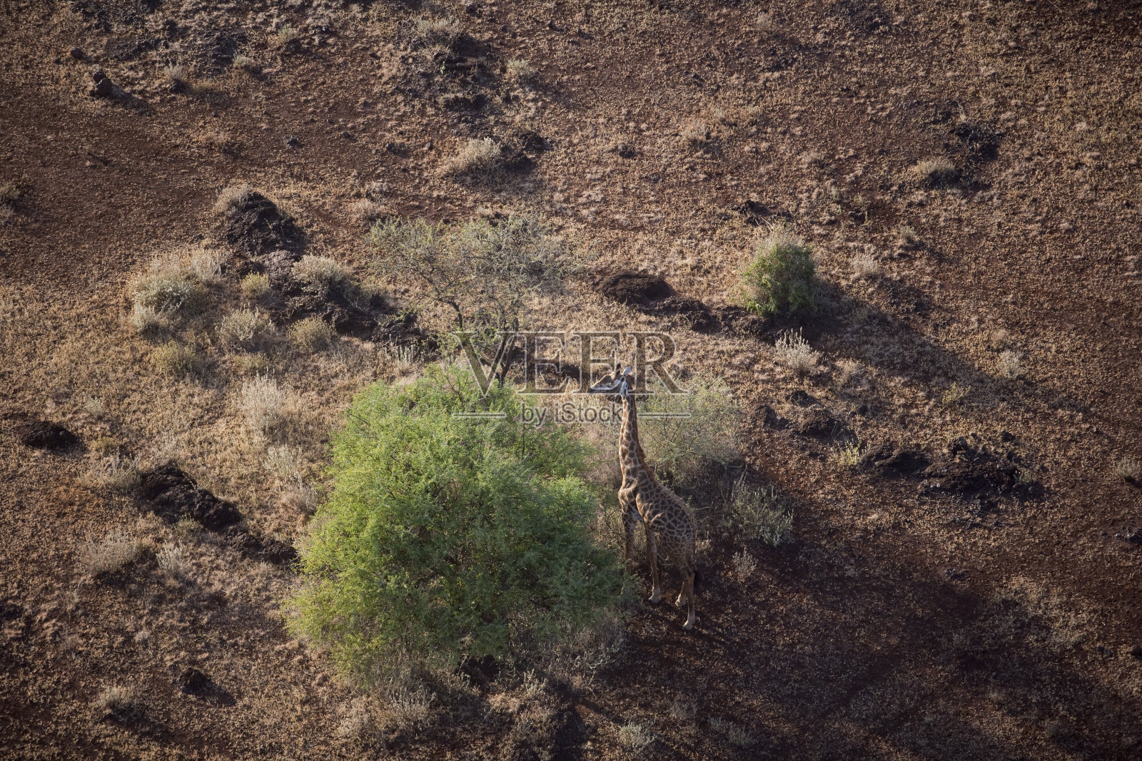 从空中俯瞰肯尼亚照片摄影图片