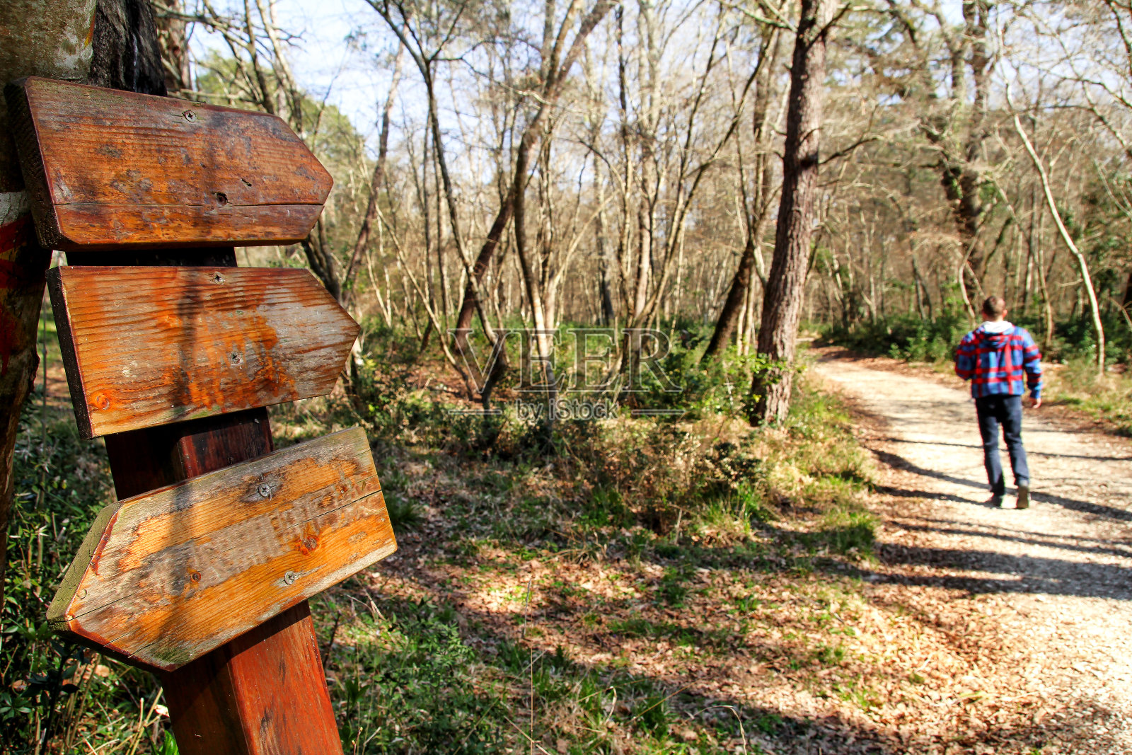 在大自然的森林中路边的一个路标。那个人路过树林。路牌沿线是一片自然环境优美的森林。照片摄影图片