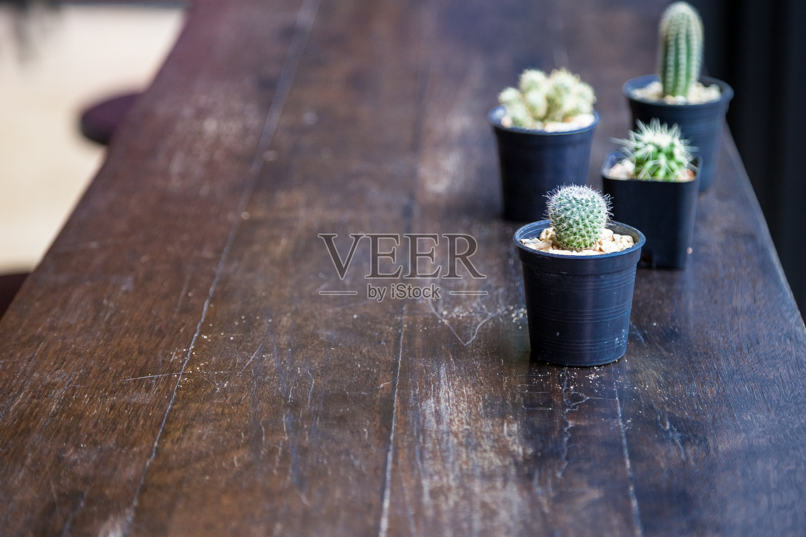 木桌上有一组仙人掌照片摄影图片