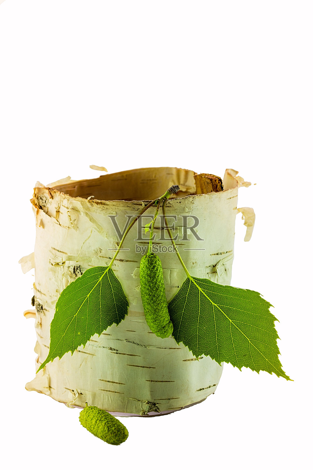 桦树的叶子和白桦树皮的背景照片摄影图片